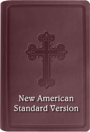 Holy Bible - New American Standard Version (NASB) Audio New/Old Test. MP3 CDs